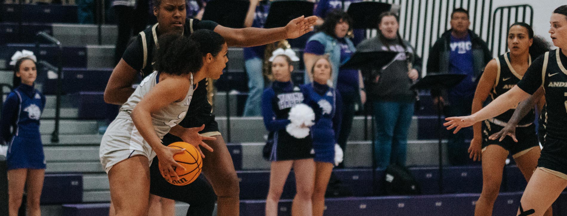 Young Harris College Women's Basketball