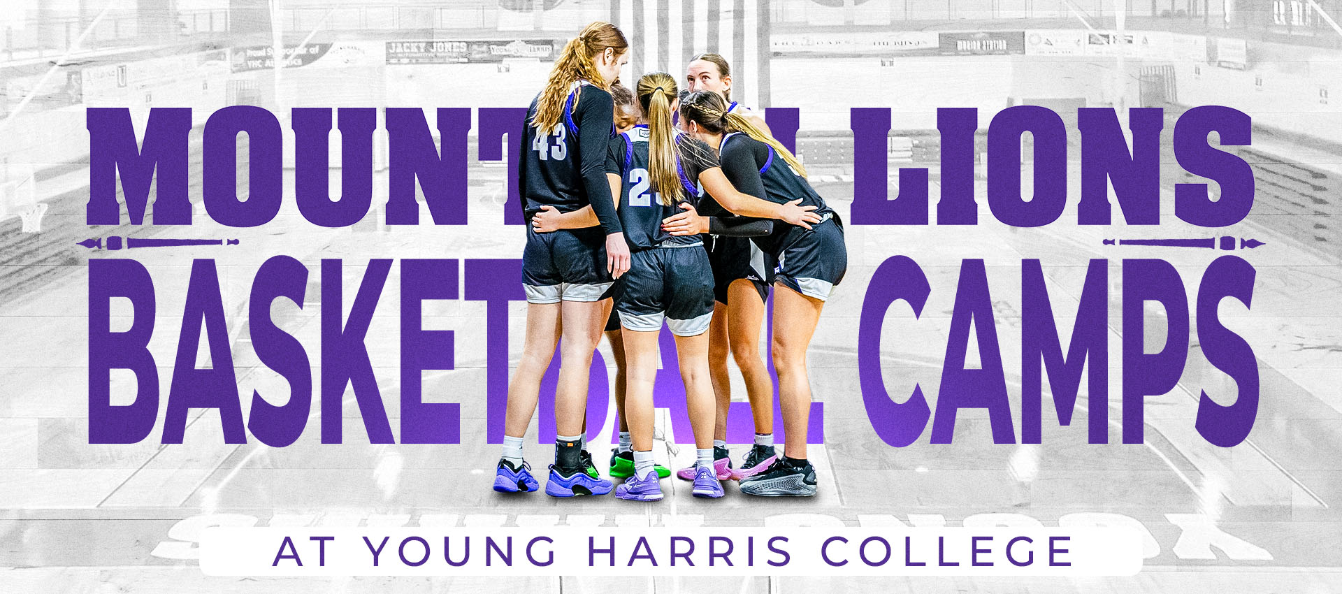 Mountain Lion Basketball Camps